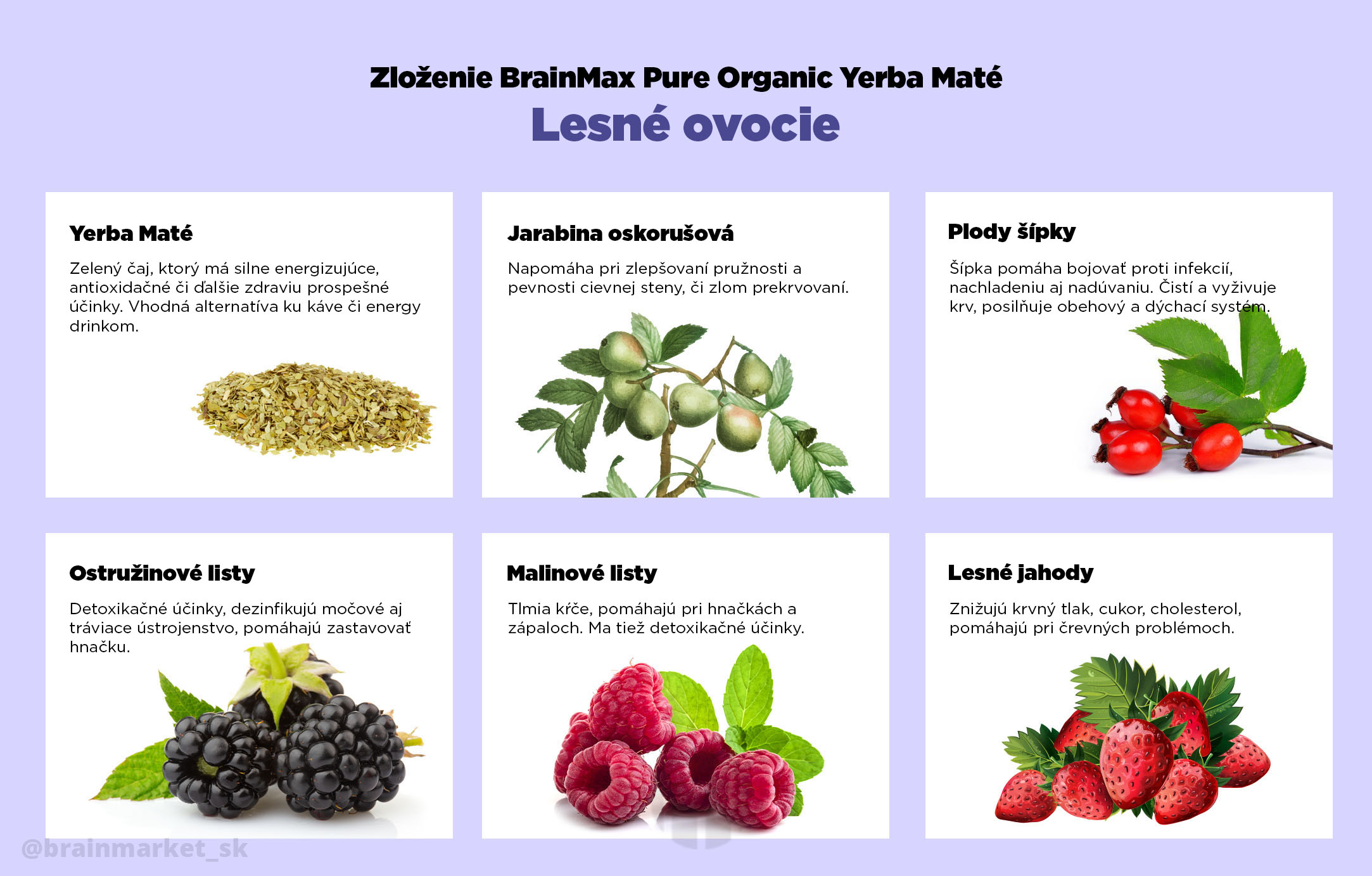 lesni ovoce_infografika_brainmarket_sk